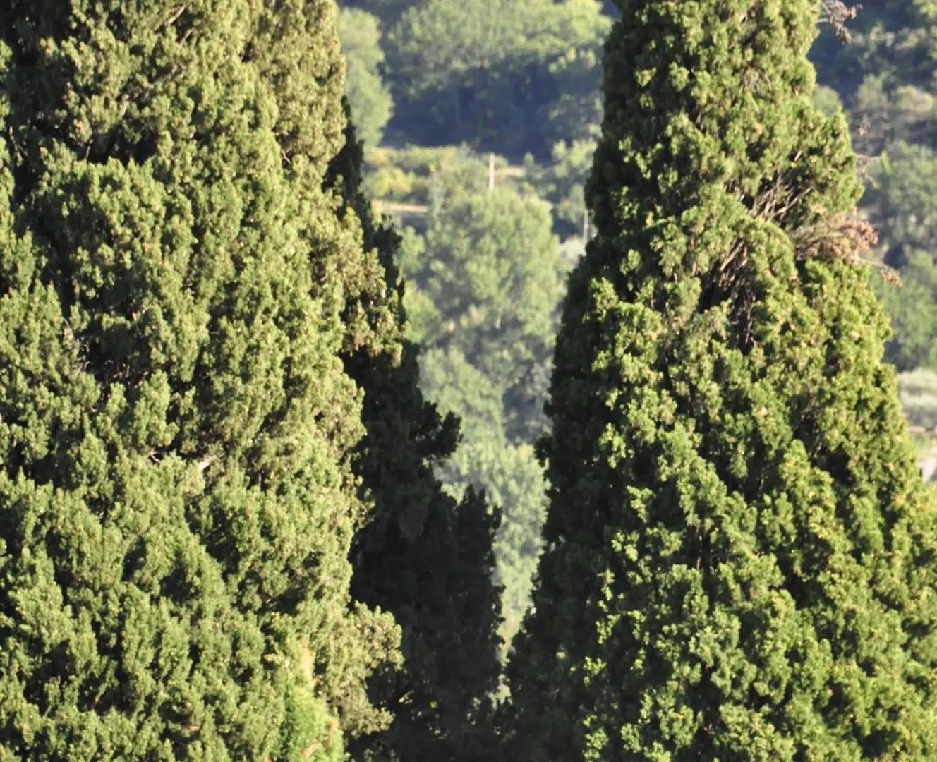Villa Grande Maison Avec Piscine Et Jardin Privatives A Nyons